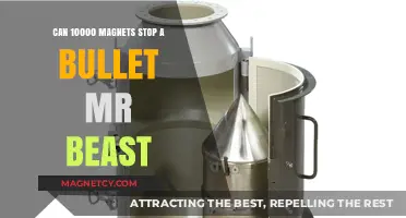 Can Magnets Stop a Bullet? MrBeast's 10,000 Magnet Experiment Explained