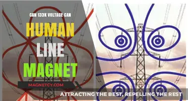 Can High Voltage Like 133k Turn Humans into Magnets?