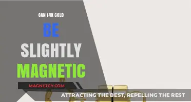 Is 14K Gold Magnetic? Unveiling the Truth Behind Its Properties