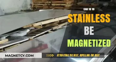 Is 18/10 Stainless Steel Magnetic? Unveiling the Truth