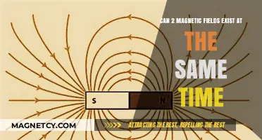 Overlapping Magnetic Fields: Can Two Exist Simultaneously in the Same Space?