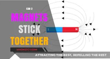 Can Magnets Attract Each Other? Exploring Magnetic Forces and Polarity