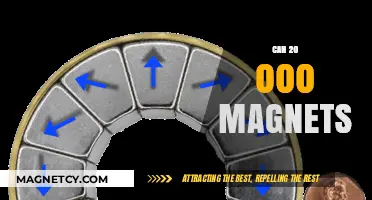 Exploring the Power and Potential of 20,000 Magnets