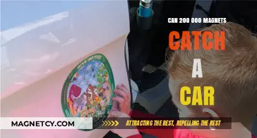 Magnetic Power: Can 200,000 Magnets Catch a Moving Car?