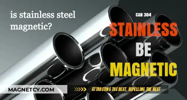 Is 304 Stainless Steel Magnetic? Unraveling the Truth Behind Its Properties