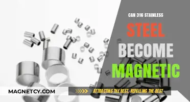 Is 316 Stainless Steel Magnetic? Unveiling the Truth Behind Its Properties