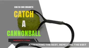 Magnetic Cannonball Catch: Can 50,000 Magnets Stop a Projectile?