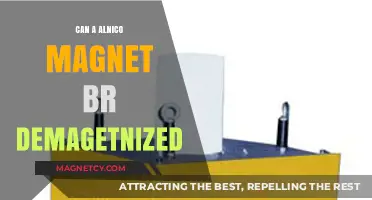 Can Alnico Magnets Be Demagnetized? Understanding Their Durability and Limits