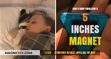 Can Babies Swallow 5-Inch Magnets? Risks and Safety Tips