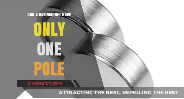 Exploring the Myth: Can a Bar Magnet Exist with a Single Pole?