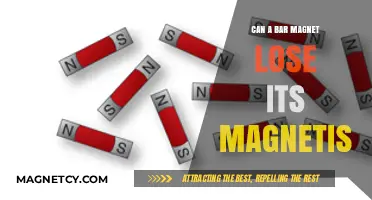 Can Bar Magnets Lose Magnetism? Exploring Demagnetization Causes