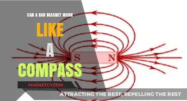 Can Bar Magnets Function as Compasses? Exploring Magnetic Navigation