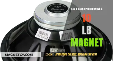 Bass Speaker Power: Can It Move a 10-Pound Magnet?