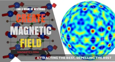Can Neutron Beams Generate Magnetic Fields? Exploring Quantum Mechanics
