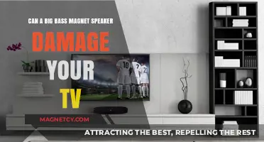 Can Big Bass Magnet Speakers Harm Your TV? Find Out Now
