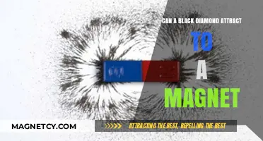 Black Diamonds and Magnets: Unveiling the Magnetic Attraction Mystery
