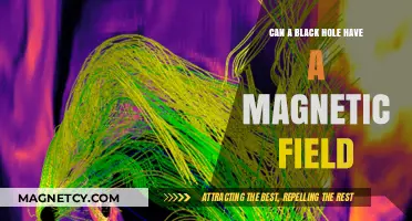 Do Black Holes Generate Magnetic Fields? Exploring Cosmic Mysteries