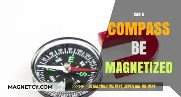 Can a Compass Be Magnetized? Exploring Magnetic Properties and Functionality