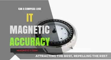 Can Compasses Lose Their Magnetic Accuracy Over Time?
