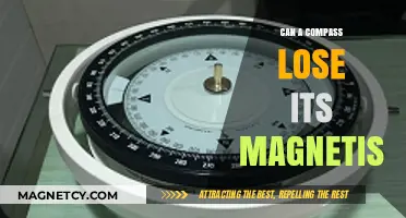 Can a Compass Lose Its Magnetism? Understanding Magnetic Degradation