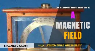 Magnetic Fields and Compass Needles: Unraveling the Movement Mystery
