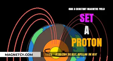 Can Constant Magnetic Fields Influence Proton Spin Dynamics?