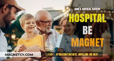 Critical Access Hospitals: Achieving Magnet Status for Rural Healthcare Excellence