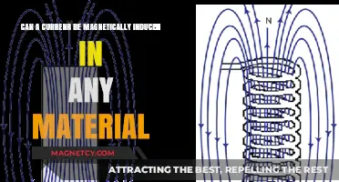 Magnetic Induction: Can Any Material Conduct Induced Currents?