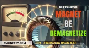 Can a Demagnetized Magnet Be Remagnetized? Exploring Magnetic Properties