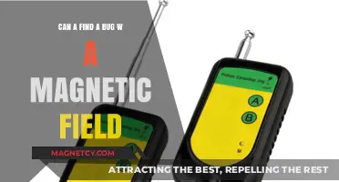 Detecting Bugs with Magnetic Fields: Fact or Fiction?