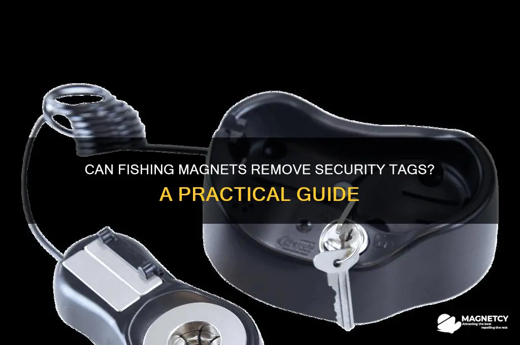 can a fishing magnet remove security tag