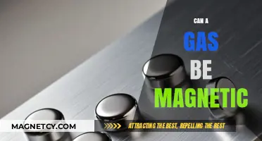 Can Gases Exhibit Magnetic Properties? Exploring the Science Behind It