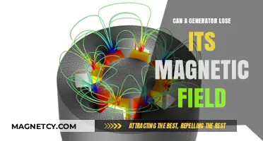 Can Generators Lose Their Magnetic Field? Causes and Solutions Explained