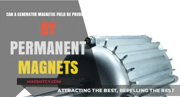 Permanent Magnets: Can They Generate a Magnetic Field for Generators?