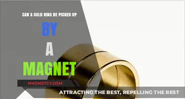 Will a Magnet Attract Your Gold Ring? Unveiling the Truth