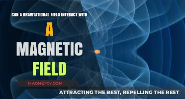 Gravitational and Magnetic Fields: Exploring Their Potential Interaction Dynamics