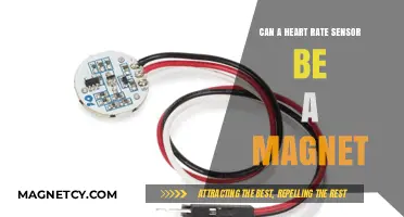Heart Rate Sensors and Magnetism: Unraveling the Connection