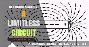 Horseshoe Magnet's Potential: Limitless Circuit or Energy Myth?