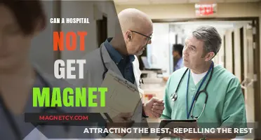 Can Hospitals Achieve Magnet Status? Challenges and Realities Explored