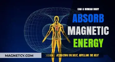 Can Humans Absorb Magnetic Energy? Exploring the Science Behind the Myth