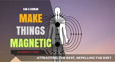 Can Humans Magnetize Objects? Exploring the Science Behind Magnetic Induction