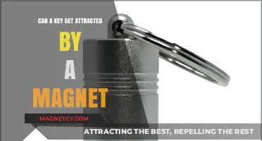Can Keys Be Magnetic? Exploring Metal Types and Magnetism