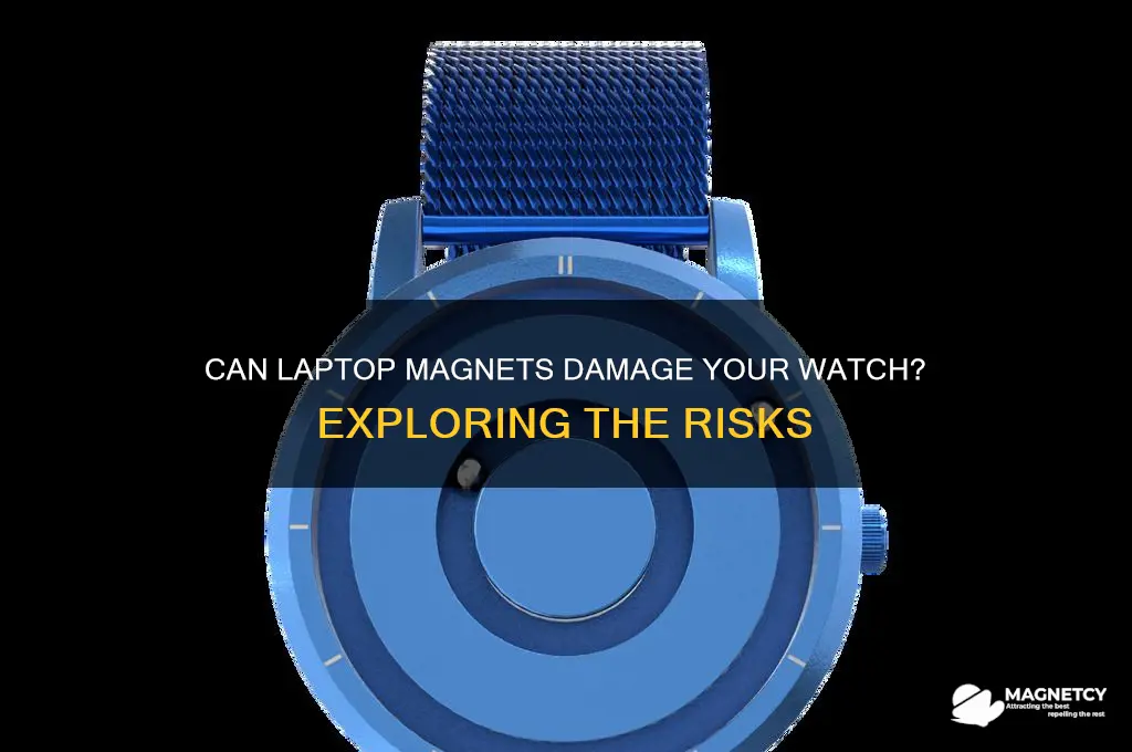 can a laptop magnetize a watch