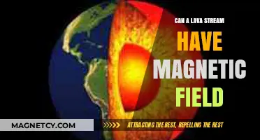 Exploring Lava Streams: Unveiling Their Magnetic Field Potential