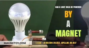 Magnetic Power: Can a Light Bulb Be Energized by Magnets?