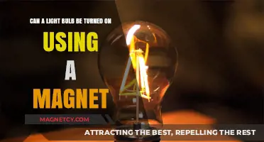 Magnetic Power: Can a Light Bulb Be Activated by a Magnet?