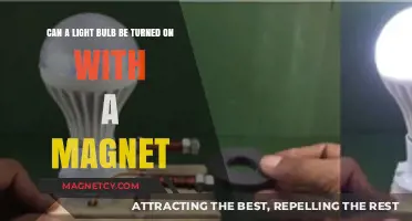 Magnetic Power: Can a Magnet Turn On a Light Bulb?