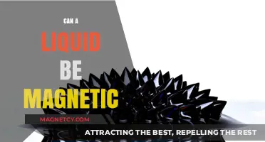 Exploring Magnetic Liquids: Can Fluids Exhibit Magnetic Properties?