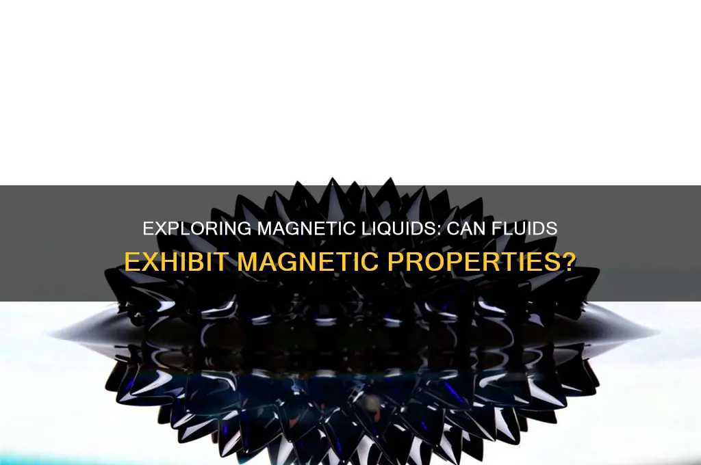 can a liquid be magnetic