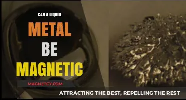 Can Liquid Metals Be Magnetic? Exploring Unusual Material Properties